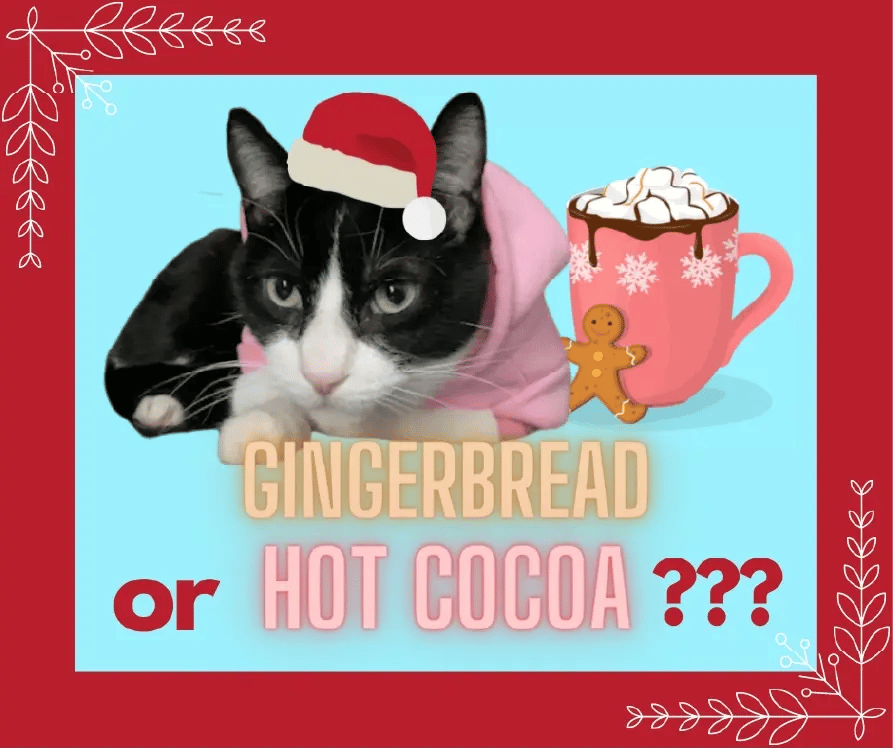 2022 teaser 2022 teaser