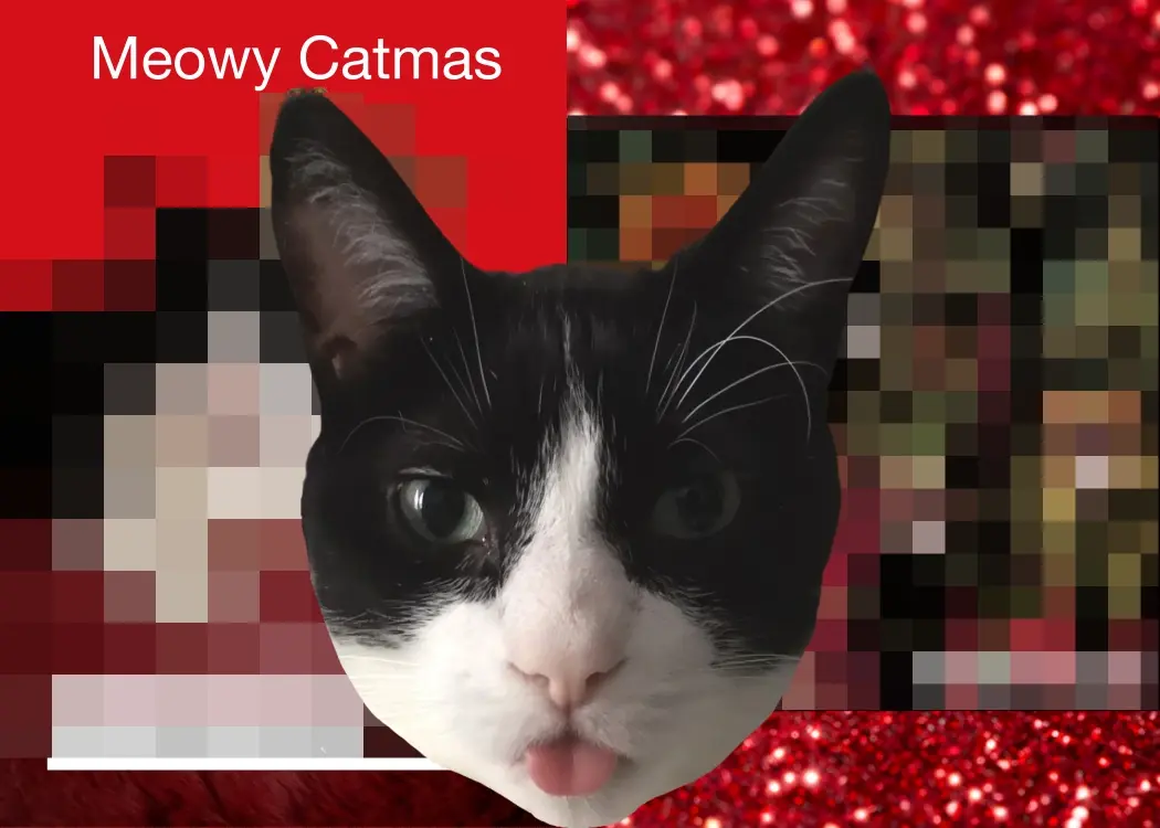 2023 options-1 2023 options-1